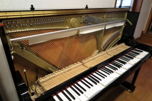 Gornji dio pijanina (bez mehanike)