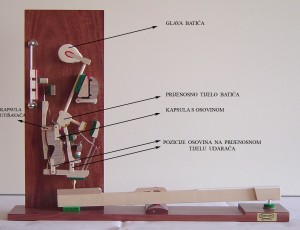 Model presjeka mehanike pijanina